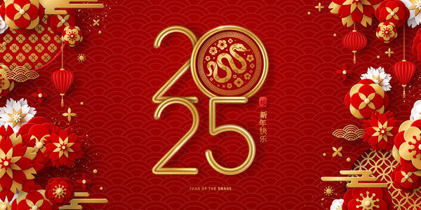 Year of the snake